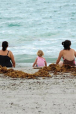 Rocking the Cradle: Gay Parenting (2007)