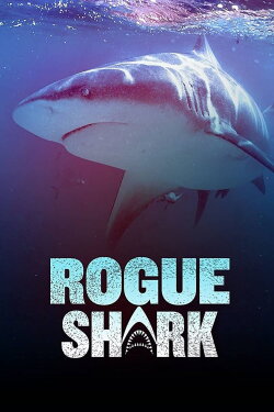 Rogue Shark (2021)