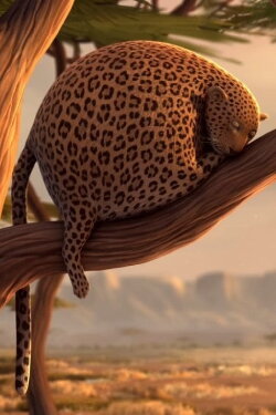 Rollin' Safari (2012) Rollin' Safari (2012)