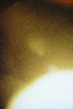 Roman Numeral: VI (1980) Roman Numeral: VI (1980)