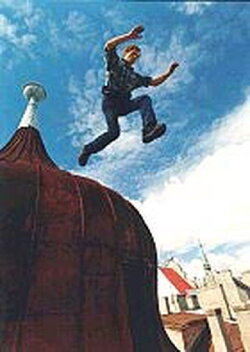 Roof Man (2003) Roof Man (2003)