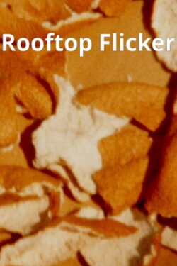 Rooftop Flicker (2022)