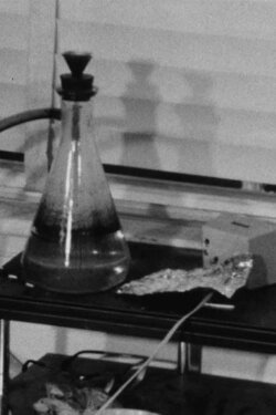 Room (Double Take) (1967)