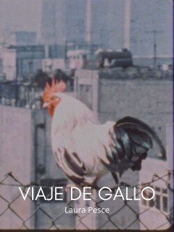 Rooster travel (1986) Rooster travel (1986)