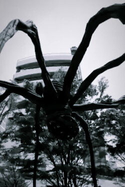 ROPPONGI-ROPPONGI (2017)