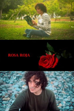 Rosa roja (2024)