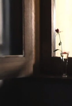 Rosecolored Flower (2002)