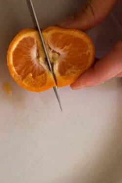 Rotten Fruit (2020) Rotten Fruit (2020)
