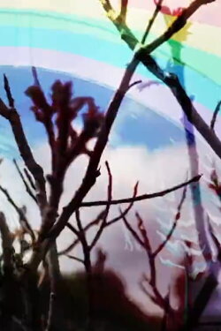 ROYGBIV (2017)