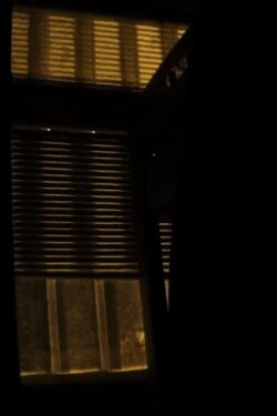 Rue Pouchkine (2017) Rue Pouchkine (2017)