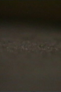 rug (2000)