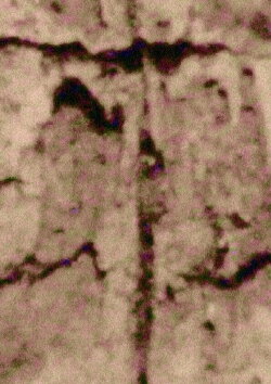 Ruido; Rauca (2020) Ruido; Rauca (2020)