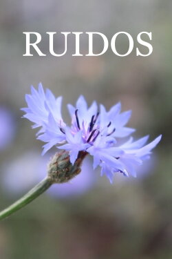 Ruidos (2023) Ruidos (2023)