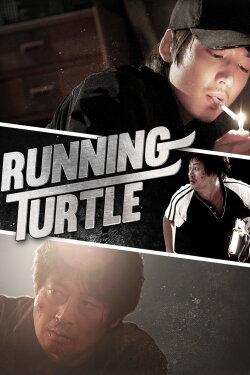 Running Turtle (2009) Running Turtle (2009)