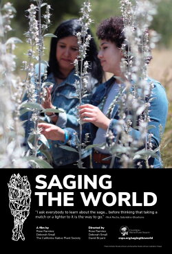 Saging the World (2022) Saging the World (2022)