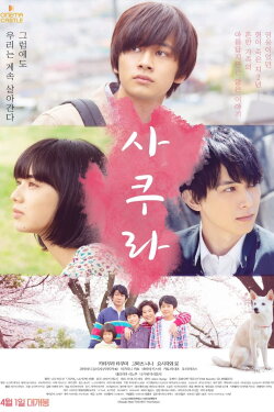 Sakura (2020) Sakura (2020)