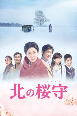 Sakura Guardian in the North (2018) Sakura Guardian in the North (2018)