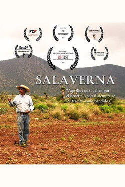 Salaverna (2013)
