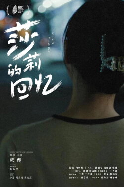 Sally's Memory (2024)