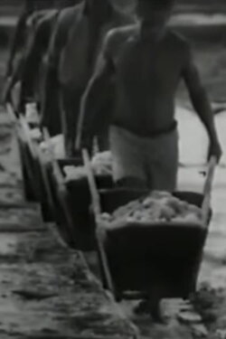 Salt (1965) Salt (1965)
