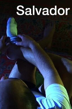 Salvador (2008)