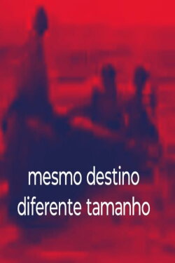 Same Destiny, different size. (2024)