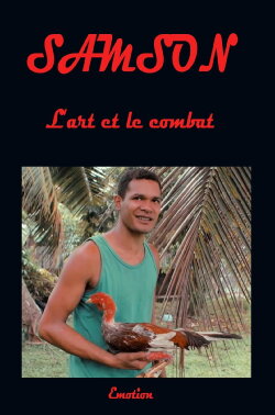 Samson art and combat (2017)