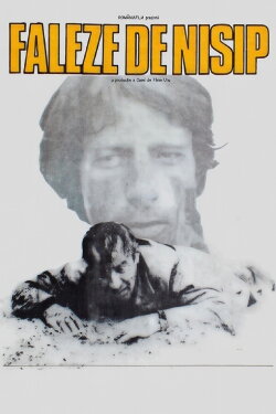 Sand Cliffs (1983)