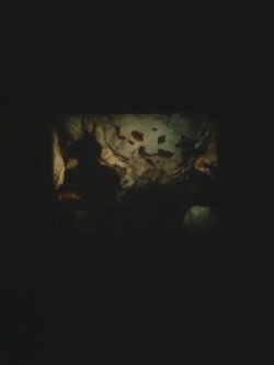 Sans titre (Lascaux) (2017) Sans titre (Lascaux) (2017)