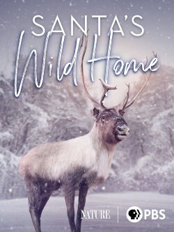 Santa's Wild Home (2020) Santa's Wild Home (2020)