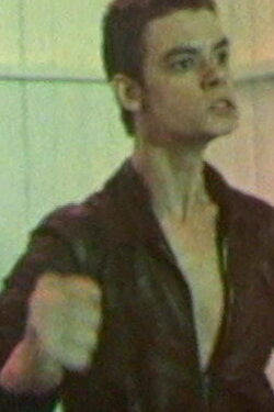 Santin (1976)