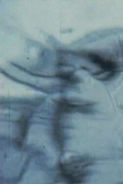 Sappho : poèmes et fragments (1992)