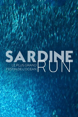 Sardine Run, le plus grand festin de l'océan (2022) Sardine Run, le plus grand festin de l'océan (2022)