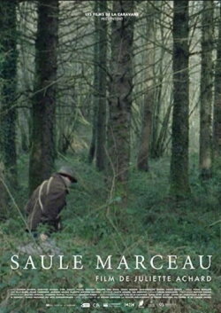 Saule Marceau (2017)