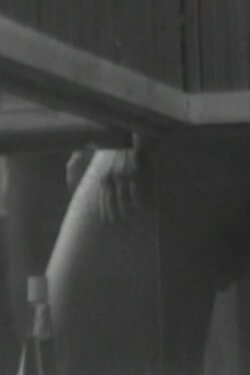 Sauna View (1973) Sauna View (1973)