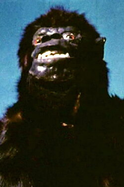 Savage Jungle (1959)