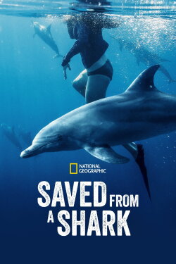 Saved From a Shark (2023)