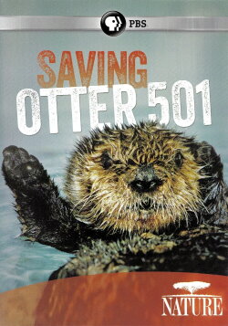 Saving Otter 501 (2013)