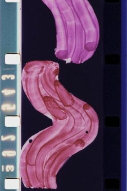 Scandés (1977) Scandés (1977)