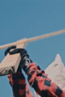Scarecrow (2020) Scarecrow (2020)