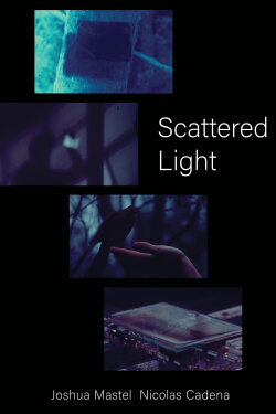 Scattered Light (2024)