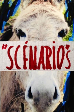 Scénarios (2024) Scénarios (2024)