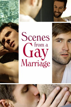 Scenes from a Gay Marriage (2012) Scenes from a Gay Marriage (2012)
