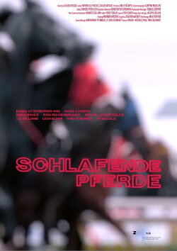 Schlafende Pferde (2024) Schlafende Pferde (2024)
