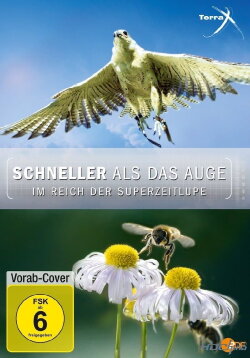 Schneller als das Auge - Im Reich der Superzeitlupe (2012) Schneller als das Auge - Im Reich der Superzeitlupe (2012)
