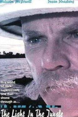 Schweitzer (1990) Schweitzer (1990)