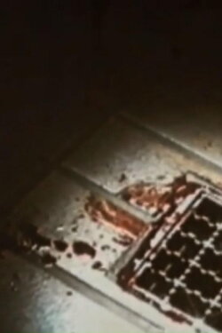 Science (1998)