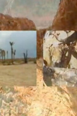 Scorched (2010)