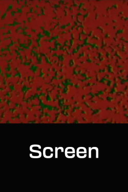 Screen (1969) Screen (1969)