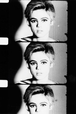 Screen Test: Edie Sedgwick (1965) Screen Test: Edie Sedgwick (1965)